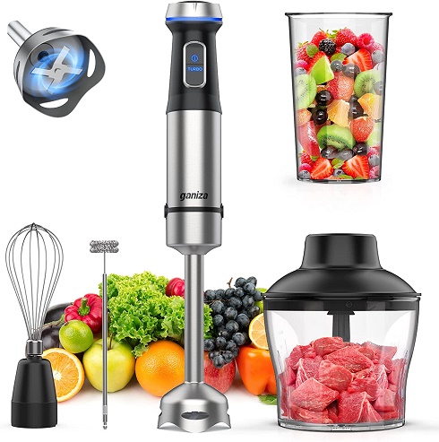 Ganiza Immersion 5 in 1 Hand Blender Review