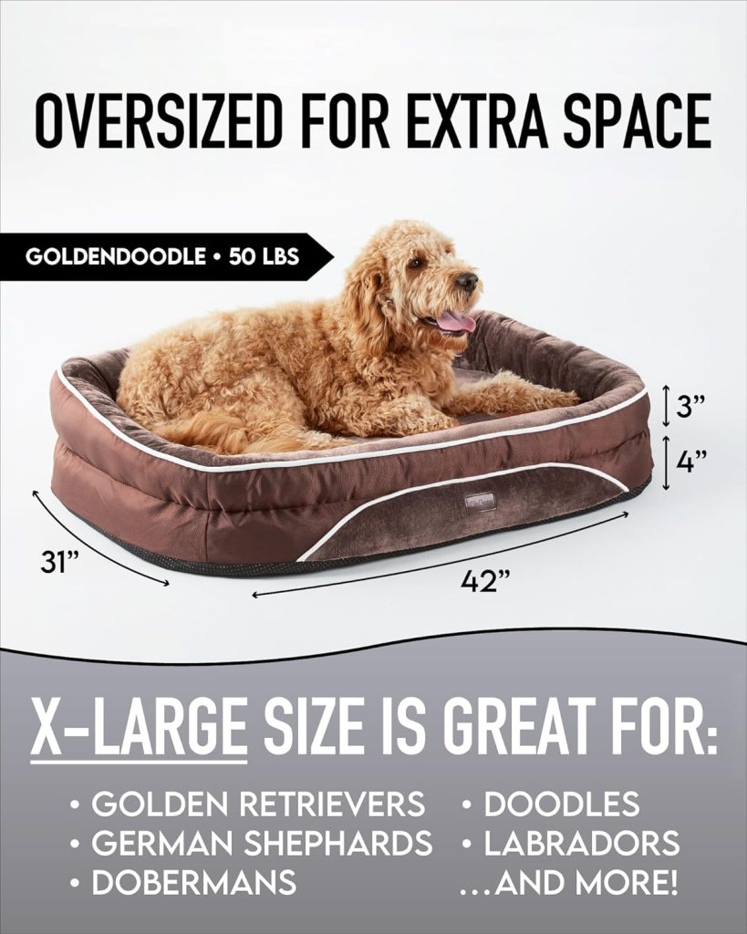 Image result for OhGeni Orthopedic Dog Bed Review - Hot Offers Daily